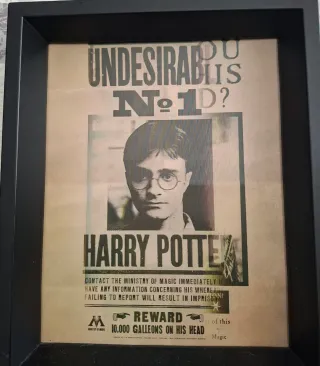 Cuadro Harry Potter Reversible