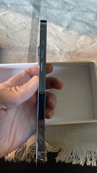 iPhone 13 Pro Max Blu alpino