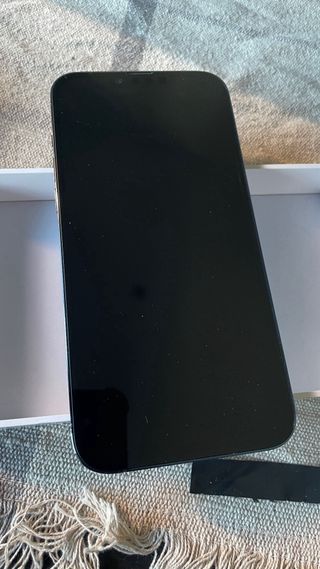 iPhone 13 Pro Max Blu alpino