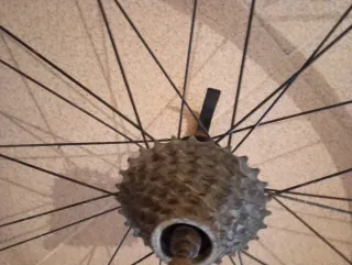 Ruedas Bicicleta Montaña DT Swiss