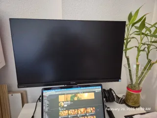 Monitor Philips 24 Negro