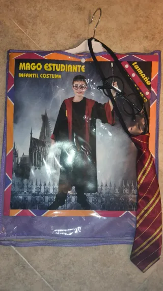 Disfraz Harry Potter
