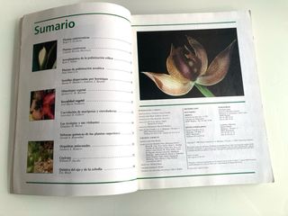 Investigación y Ciencia Temas 14 monográfico