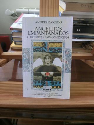 Lote Andrés Caicedo