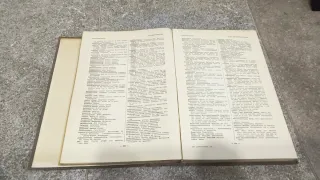 Diccionario Español Alemán de Medicina Vintage