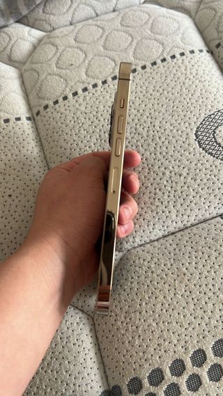 iPhone 13 Pro Max 256GB Oro Batteria 100%