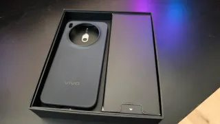 Vivo X300