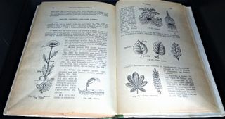 O Nosso Compêndio de Ciências Físico-Naturais