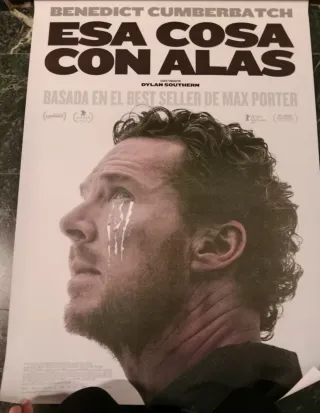 Póster Película Esa Cosa Con Alas