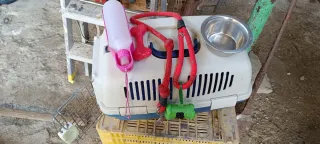 Transportín perro pequeño con comedero y de agua