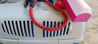 Transportín perro pequeño con comedero y de agua