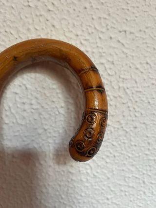 Bastón de madera de caña Alto: 84 cm