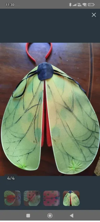 Disfraz mariquita y flor