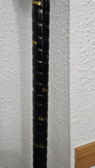 Caña de pescar y carrete