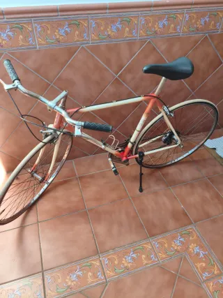 Bicicleta BH Supertitan