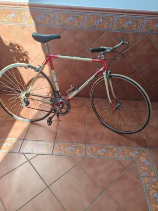 Bicicleta BH Supertitan