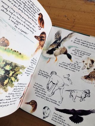 Dutch Treat: The Artist's Life