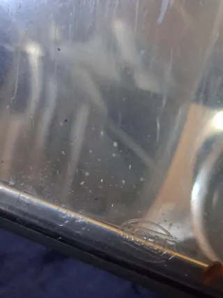 Faróis VW Bora hella