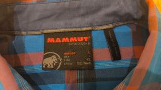 Conjunto Camisa y Pantalón Corto Mammut