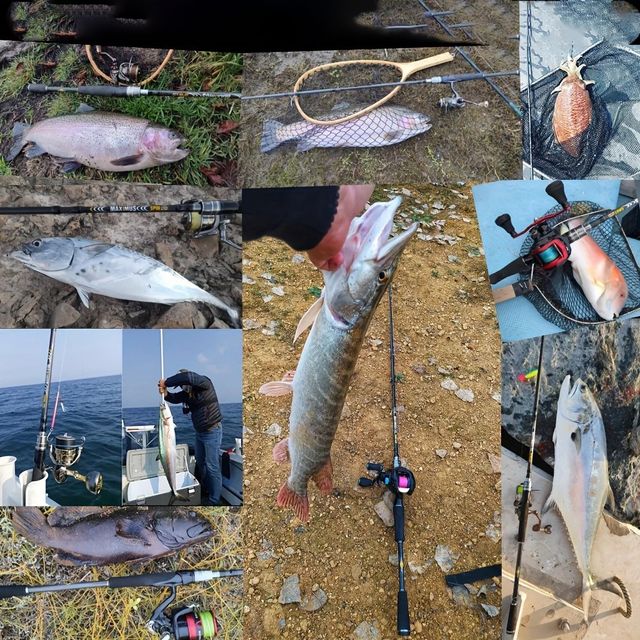 Caña Señuelos Carbono 30T Casting