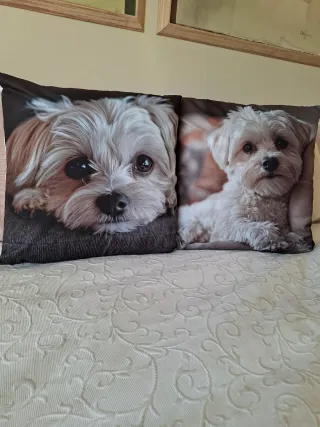 Fodere per cuscini con simpatici cani 45x45