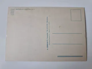 Lote 4 Cartoline Zoo di Barcellona Animali