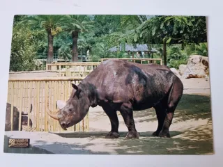 Lote 4 Cartoline Zoo di Barcellona Animali