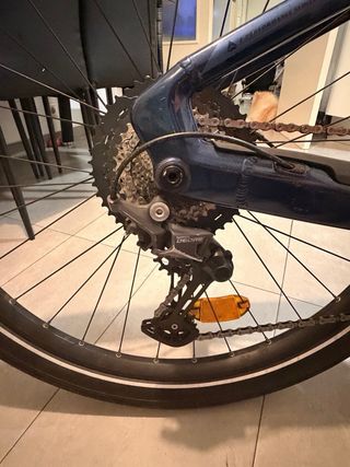 Bergamont E-Revox Premium Sport E-Bike