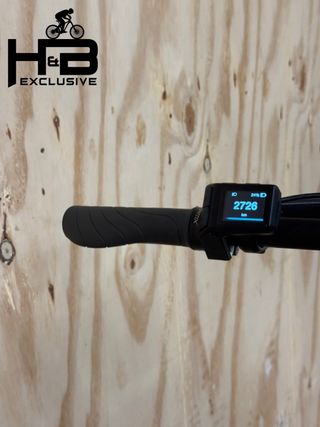 Giant Explore E+ 2 GTS Shimano Alivio 2022