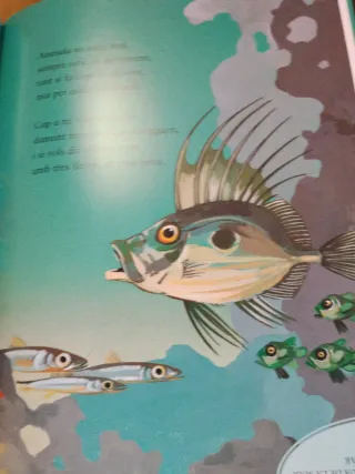 Contes de la mar i altres històries