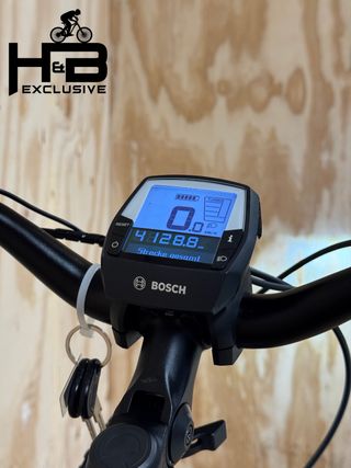 Flyer Gotour6 5.41R Shimano Nexus 2021