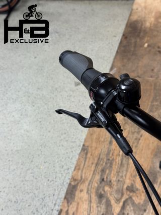 Flyer Gotour6 5.41R Shimano Nexus 2021