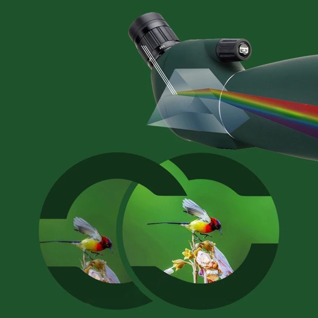 Telescopio SV28 25–75x70 Verde con Adaptador