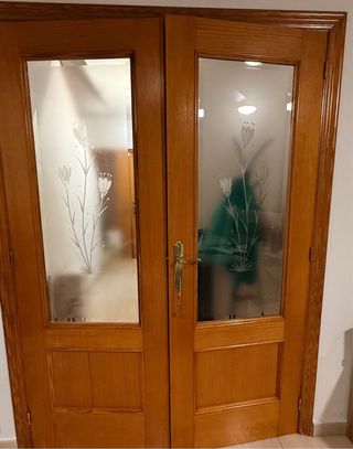 Puertas  Una hoja 71x201 Y la otra 73X201