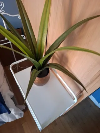 Planta artificial decorativa