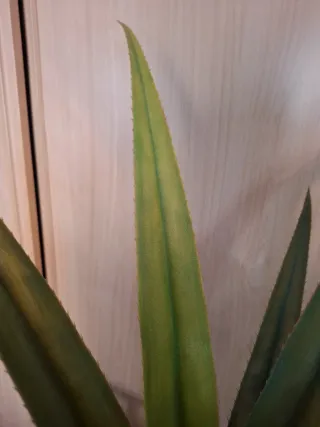 Planta artificial decorativa