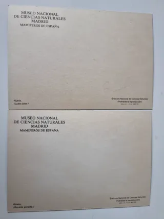 Museo de Ciencias Naturales Madrid. Lotto 8 Cartoline.
