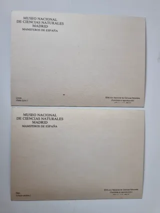 Museo de Ciencias Naturales Madrid. Lotto 8 Cartoline.