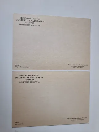Museo de Ciencias Naturales Madrid. Lotto 8 Cartoline.