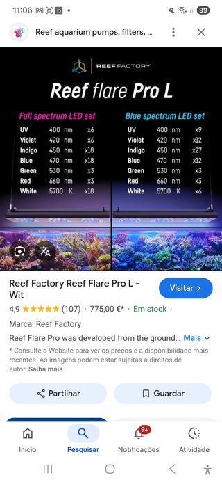 Reef Flare Pro Azul L - 2 unidades