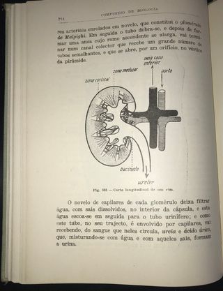 Compêndio de Zoologia de Augusto C. G. Soeiro