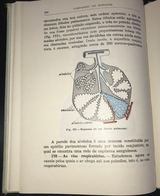 Compêndio de Zoologia de Augusto C. G. Soeiro