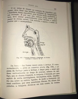 Compêndio de Zoologia de Augusto C. G. Soeiro