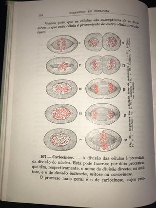 Compêndio de Zoologia de Augusto C. G. Soeiro