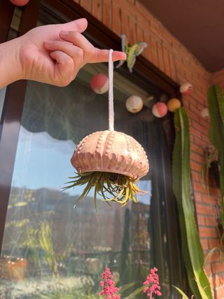 Macetero colgante cerámica forma erizo mar
