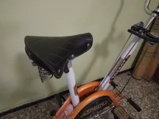 Bicicleta Estática Torrot Antigua