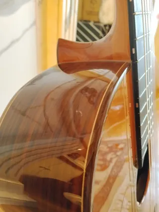 Guitarra Alhambra 6P