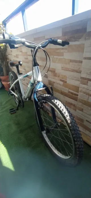 Bicicleta Rockrider 20 (6-9 años)