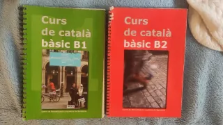 Curso de catalán básico B1 y B2