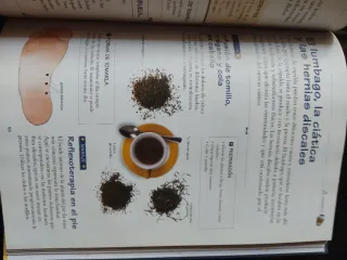 La botica de la abuela. Los remedios y consejos...